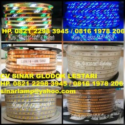 Lampu LED Strip Hias Dekorasi 220V